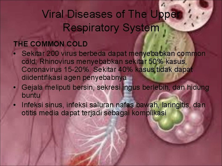 Viral Diseases of The Upper Respiratory System THE COMMON COLD • Sekitar 200 virus