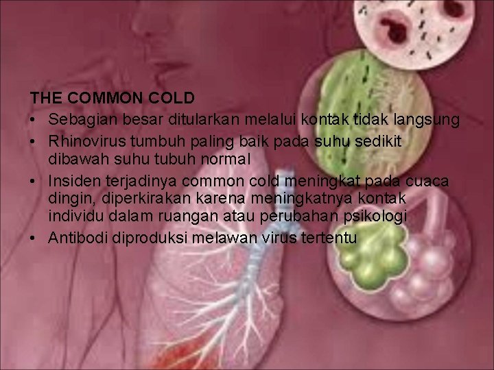 THE COMMON COLD • Sebagian besar ditularkan melalui kontak tidak langsung • Rhinovirus tumbuh