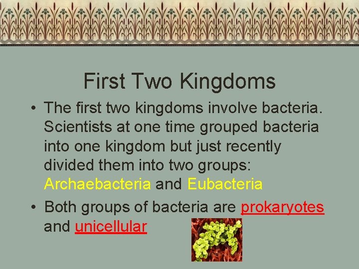 First Two Kingdoms • The first two kingdoms involve bacteria. Scientists at one time