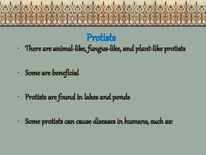 Protists • There animal-like, fungus-like, and plant-like protists • Some are beneficial • Protists