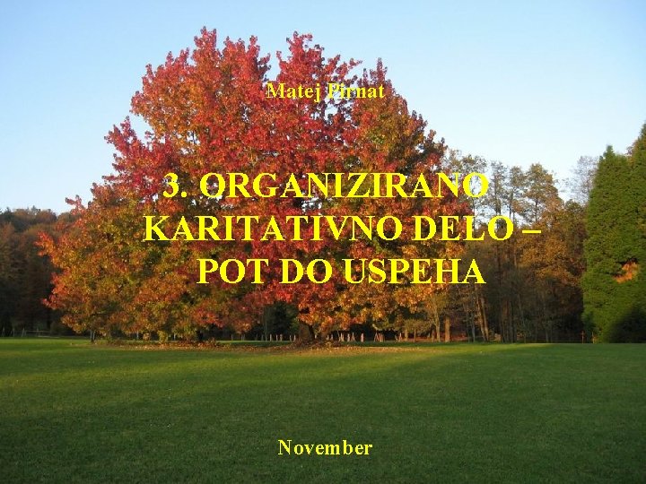 Matej Pirnat 3. ORGANIZIRANO KARITATIVNO DELO – POT DO USPEHA November 