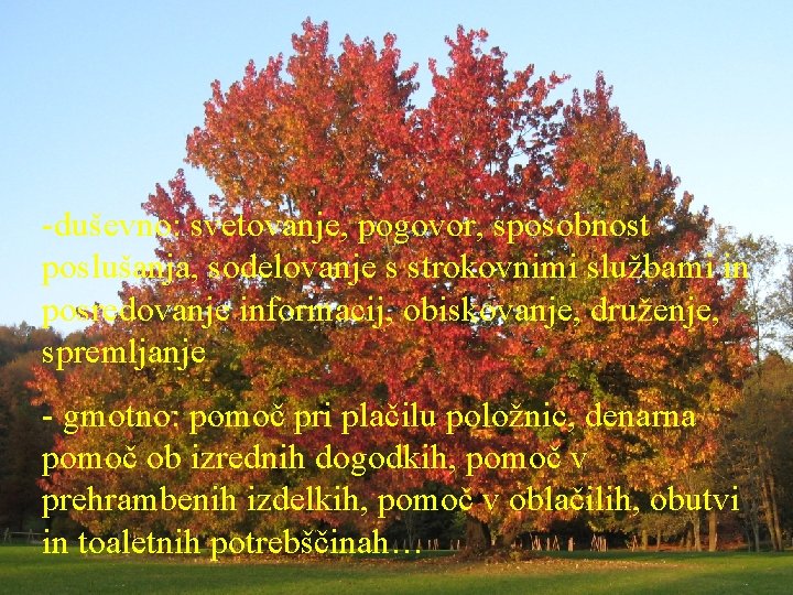 -duševno: svetovanje, pogovor, sposobnost poslušanja, sodelovanje s strokovnimi službami in posredovanje informacij, obiskovanje, druženje,