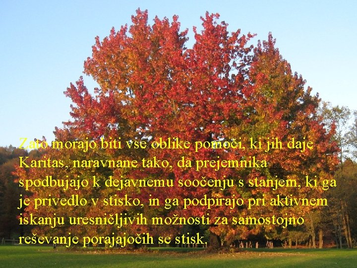 Zato morajo biti vse oblike pomoči, ki jih daje Karitas, naravnane tako, da prejemnika