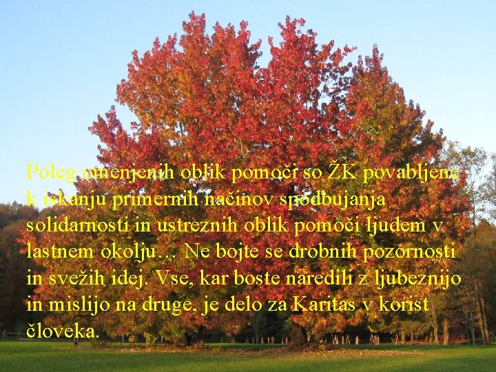 Poleg omenjenih oblik pomoči so ŽK povabljene k iskanju primernih načinov spodbujanja solidarnosti in