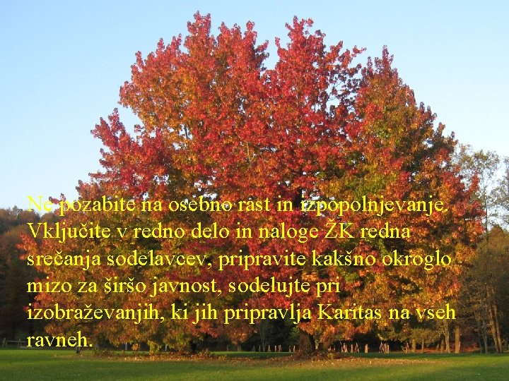 Ne pozabite na osebno rast in izpopolnjevanje. Vključite v redno delo in naloge ŽK