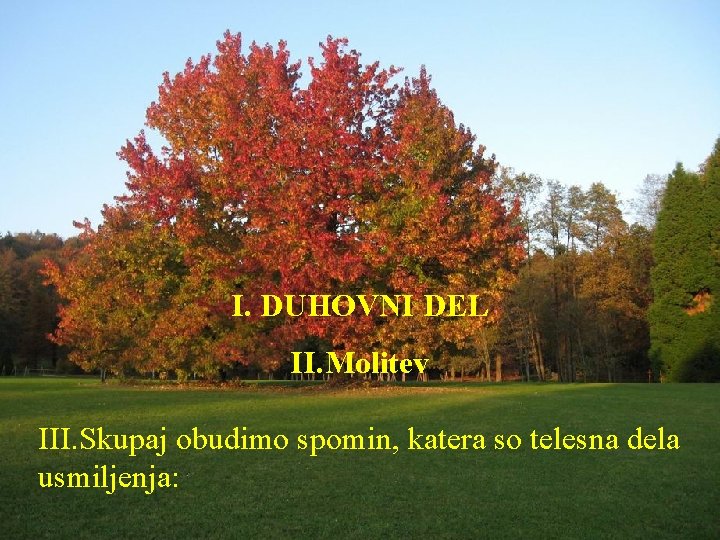 I. DUHOVNI DEL II. Molitev III. Skupaj obudimo spomin, katera so telesna dela usmiljenja:
