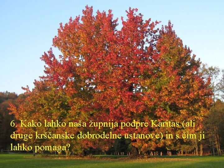 6. Kako lahko naša župnija podpre Karitas (ali druge krščanske dobrodelne ustanove) in s