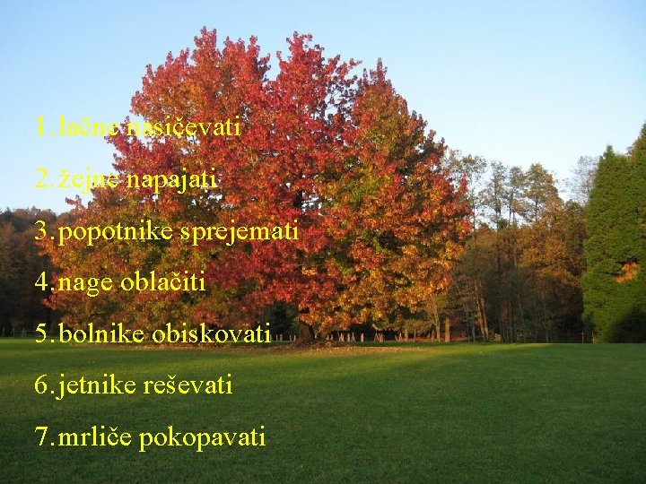 1. lačne nasičevati 2. žejne napajati 3. popotnike sprejemati 4. nage oblačiti 5. bolnike