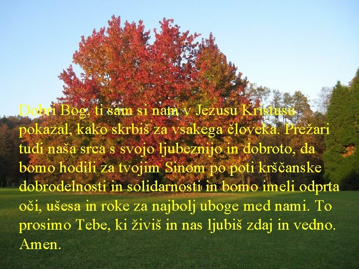 Dobri Bog, ti sam si nam v Jezusu Kristusu pokazal, kako skrbiš za vsakega