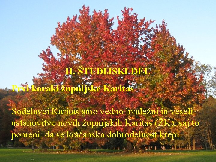 II. ŠTUDIJSKI DEL Prvi koraki župnijske Karitas Sodelavci Karitas smo vedno hvaležni in veseli