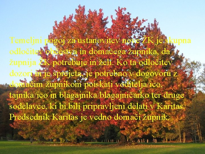 Temeljni pogoj za ustanovitev nove ŽK je skupna odločitev občestva in domačega župnika, da