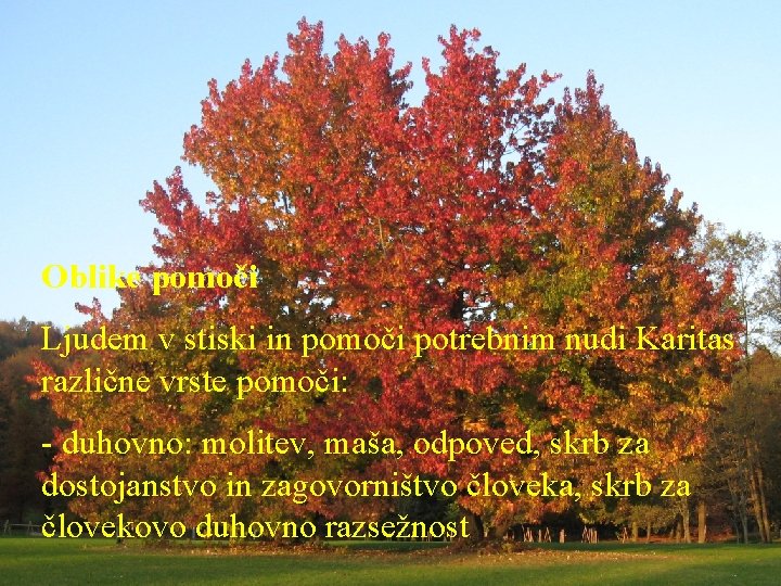 Oblike pomoči Ljudem v stiski in pomoči potrebnim nudi Karitas različne vrste pomoči: -