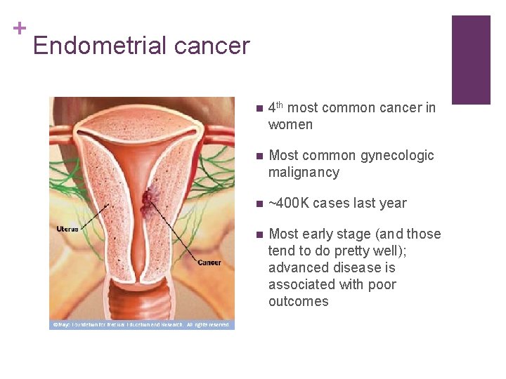 + Endometrial cancer n 4 th most common cancer in women n Most common