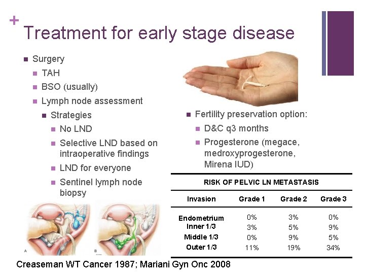 + Treatment for early stage disease n Surgery n TAH n BSO (usually) n