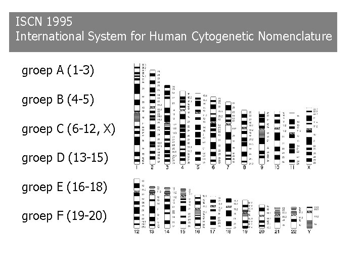 ISCN 1995 International System for Human Cytogenetic Nomenclature groep A (1 -3) groep B ISCN 1995 International System for Human Cytogenetic Nomenclature groep A (1 -3) groep B