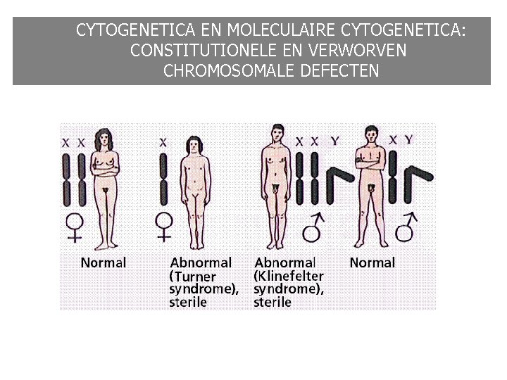 CYTOGENETICA EN MOLECULAIRE CYTOGENETICA: CONSTITUTIONELE EN VERWORVEN CHROMOSOMALE DEFECTEN CYTOGENETICA EN MOLECULAIRE CYTOGENETICA: CONSTITUTIONELE EN VERWORVEN CHROMOSOMALE DEFECTEN