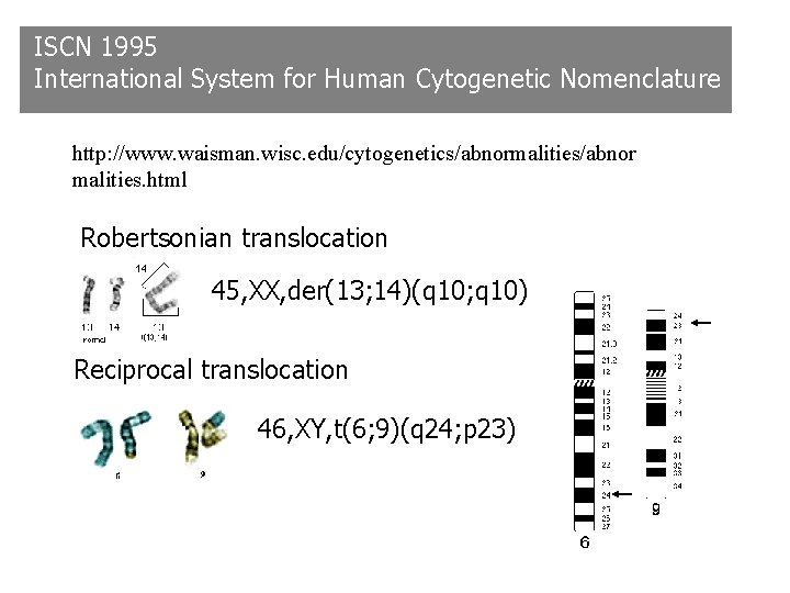 ISCN 1995 International System for Human Cytogenetic Nomenclature http: //www. waisman. wisc. edu/cytogenetics/abnormalities/abnor malities. ISCN 1995 International System for Human Cytogenetic Nomenclature http: //www. waisman. wisc. edu/cytogenetics/abnormalities/abnor malities.