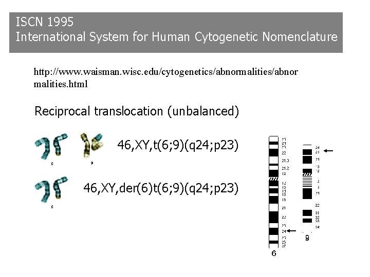 ISCN 1995 International System for Human Cytogenetic Nomenclature http: //www. waisman. wisc. edu/cytogenetics/abnormalities/abnor malities. ISCN 1995 International System for Human Cytogenetic Nomenclature http: //www. waisman. wisc. edu/cytogenetics/abnormalities/abnor malities.