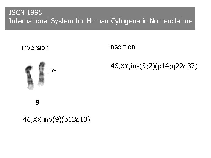 ISCN 1995 International System for Human Cytogenetic Nomenclature inversion insertion 46, XY, ins(5; 2)(p ISCN 1995 International System for Human Cytogenetic Nomenclature inversion insertion 46, XY, ins(5; 2)(p