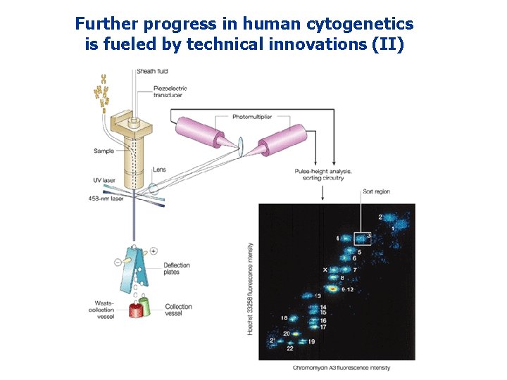 Further progress in human cytogenetics is fueled by technical innovations (II) Further progress in human cytogenetics is fueled by technical innovations (II)