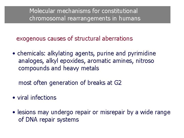 Molecular mechanisms for constitutional chromosomal rearrangements in humans exogenous causes of structural aberrations • Molecular mechanisms for constitutional chromosomal rearrangements in humans exogenous causes of structural aberrations •