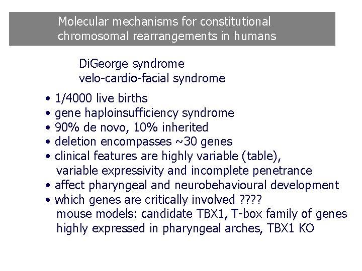 Molecular mechanisms for constitutional chromosomal rearrangements in humans Di. George syndrome velo-cardio-facial syndrome • Molecular mechanisms for constitutional chromosomal rearrangements in humans Di. George syndrome velo-cardio-facial syndrome •