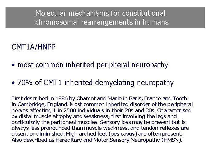Molecular mechanisms for constitutional chromosomal rearrangements in humans CMT 1 A/HNPP • most common Molecular mechanisms for constitutional chromosomal rearrangements in humans CMT 1 A/HNPP • most common