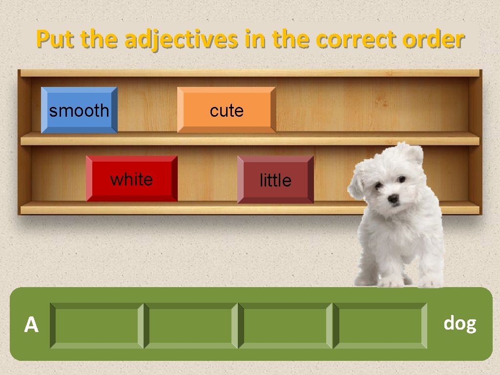 Put the adjectives in the correct order cute smooth white A little dog 