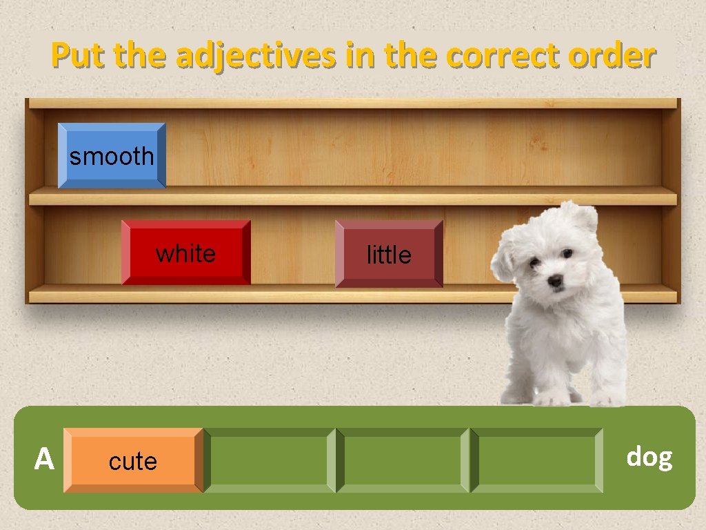 Put the adjectives in the correct order smooth white A cute little dog 