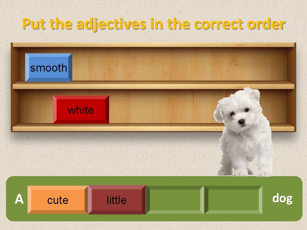 Put the adjectives in the correct order smooth white A cute little dog 