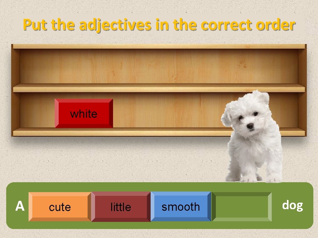Put the adjectives in the correct order white A cute little smooth dog 