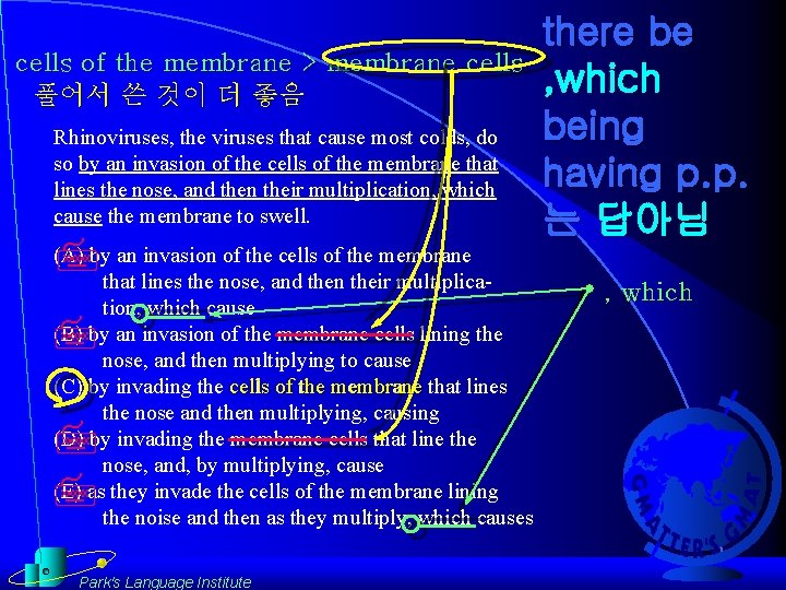 cells of the membrane > membrane cells 풀어서 쓴 것이 더 좋음 Rhinoviruses, the