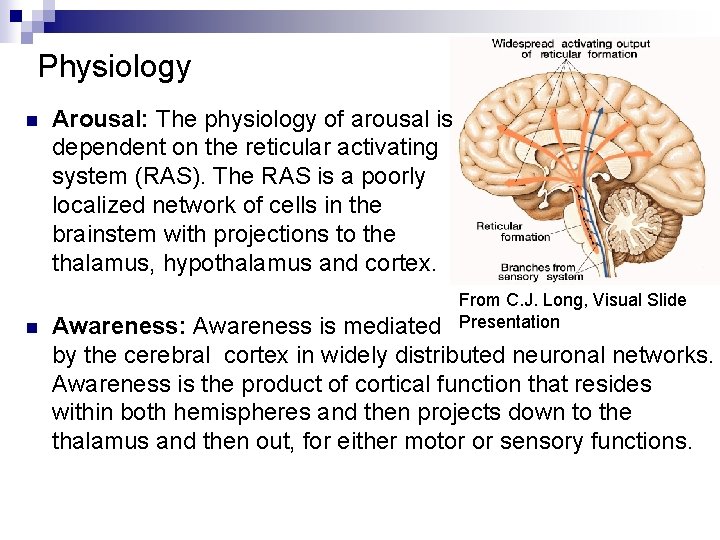 Physiology n n Arousal: The physiology of arousal is dependent on the reticular activating