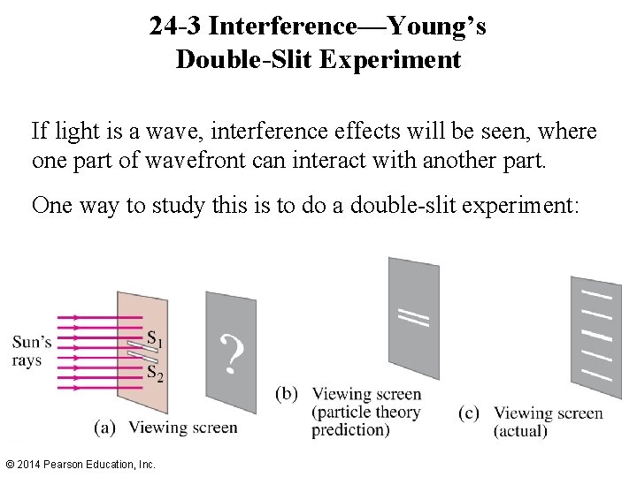 24 -3 Interference—Young’s Double-Slit Experiment If light is a wave, interference effects will be