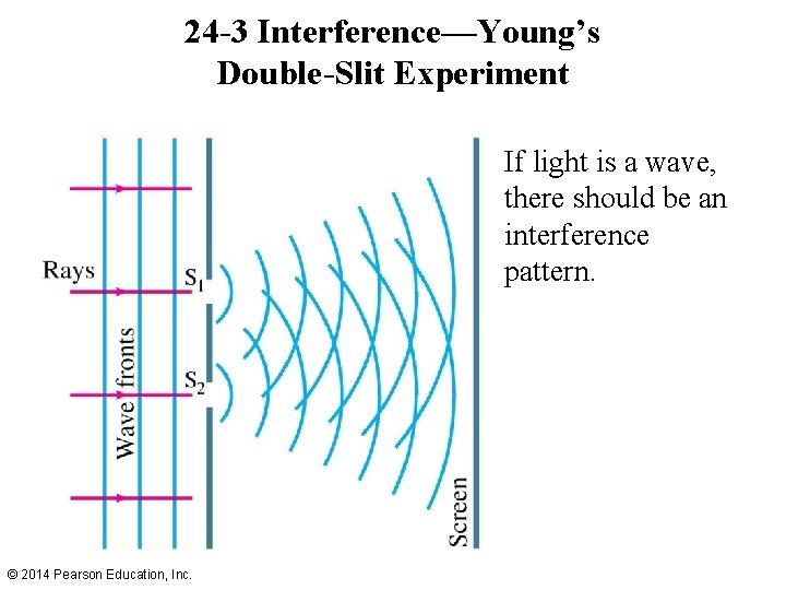 24 -3 Interference—Young’s Double-Slit Experiment If light is a wave, there should be an