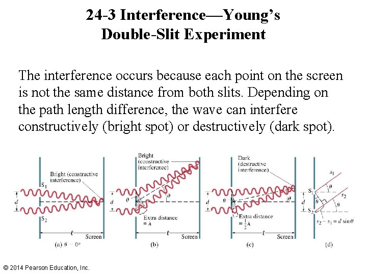 24 -3 Interference—Young’s Double-Slit Experiment The interference occurs because each point on the screen