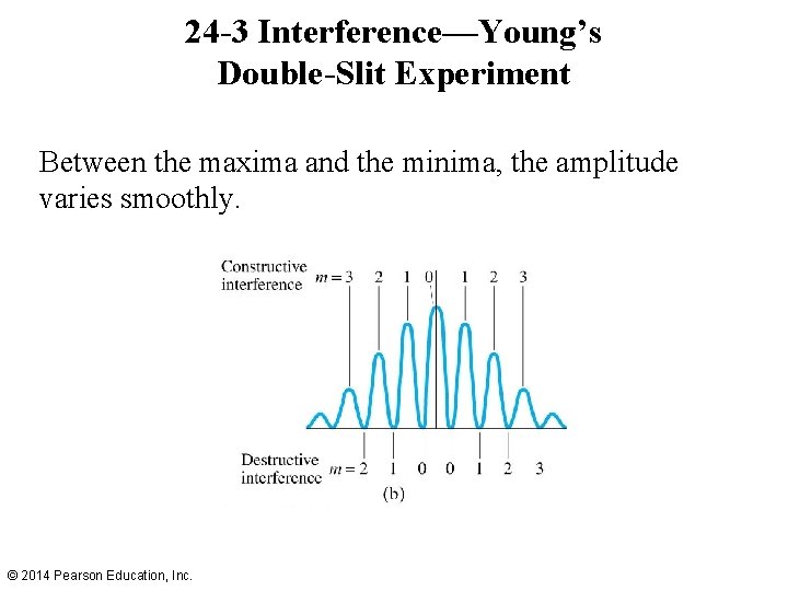 24 -3 Interference—Young’s Double-Slit Experiment Between the maxima and the minima, the amplitude varies