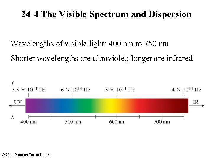 24 -4 The Visible Spectrum and Dispersion Wavelengths of visible light: 400 nm to