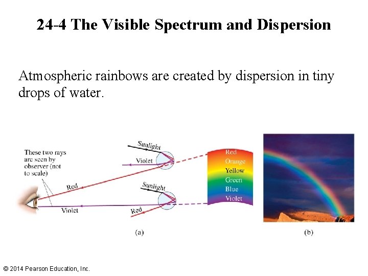 24 -4 The Visible Spectrum and Dispersion Atmospheric rainbows are created by dispersion in
