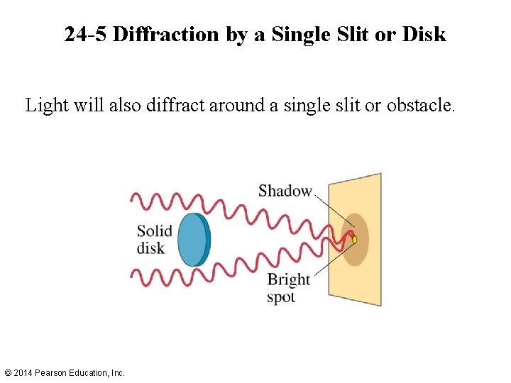 24 -5 Diffraction by a Single Slit or Disk Light will also diffract around