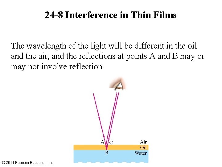 24 -8 Interference in Thin Films The wavelength of the light will be different