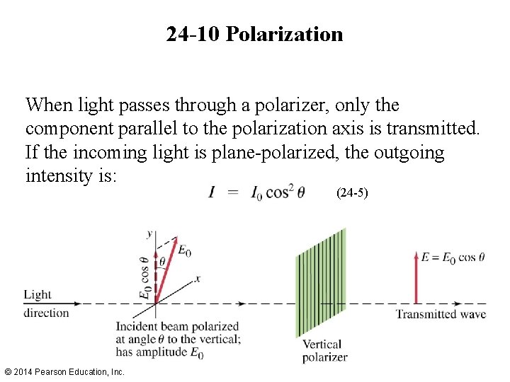 24 -10 Polarization When light passes through a polarizer, only the component parallel to