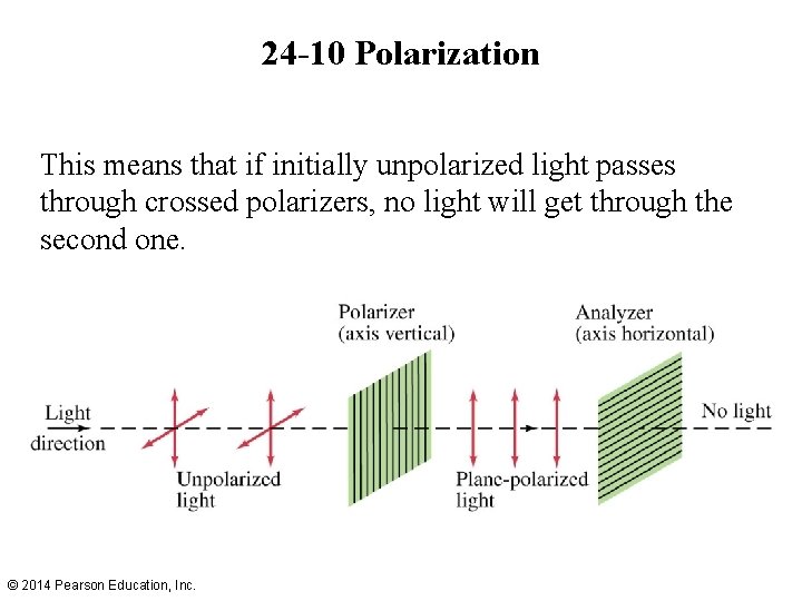 24 -10 Polarization This means that if initially unpolarized light passes through crossed polarizers,