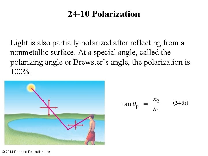 24 -10 Polarization Light is also partially polarized after reflecting from a nonmetallic surface.