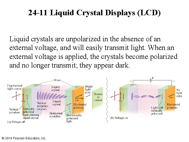 24 -11 Liquid Crystal Displays (LCD) Liquid crystals are unpolarized in the absence of