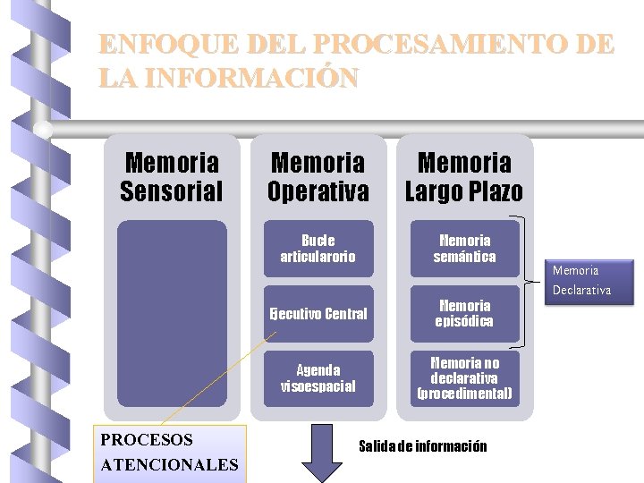 ENFOQUE DEL PROCESAMIENTO DE LA INFORMACIÓN Memoria Sensorial PROCESOS ATENCIONALES Memoria Operativa Memoria Largo