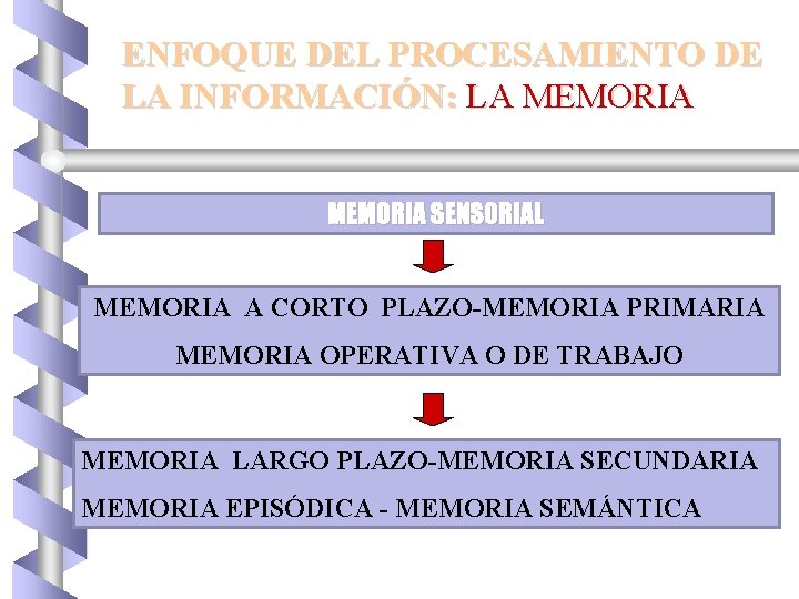 ENFOQUE DEL PROCESAMIENTO DE LA INFORMACIÓN: LA MEMORIA SENSORIAL MEMORIA A CORTO PLAZO-MEMORIA PRIMARIA