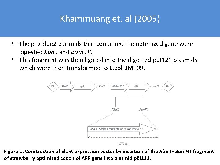 Khammuang et. al (2005) § The p. T 7 blue 2 plasmids that contained