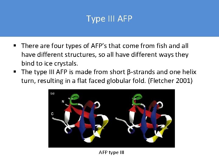 Type III AFP § There are four types of AFP’s that come from fish