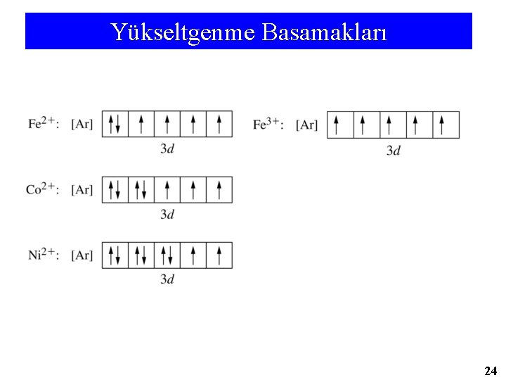 Yükseltgenme Basamakları 24 